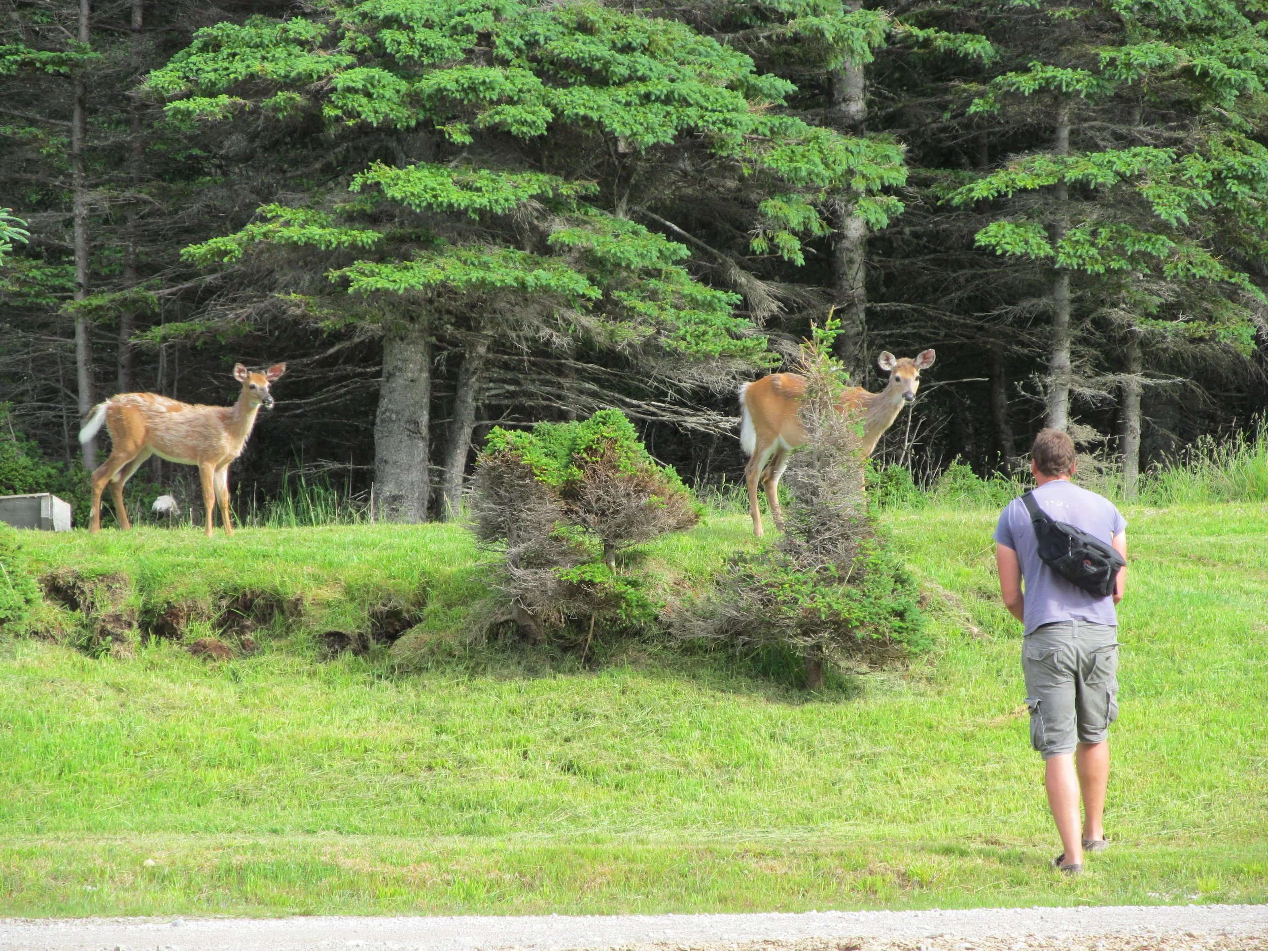  Image credit: Amelinda Webb (Washington College) 