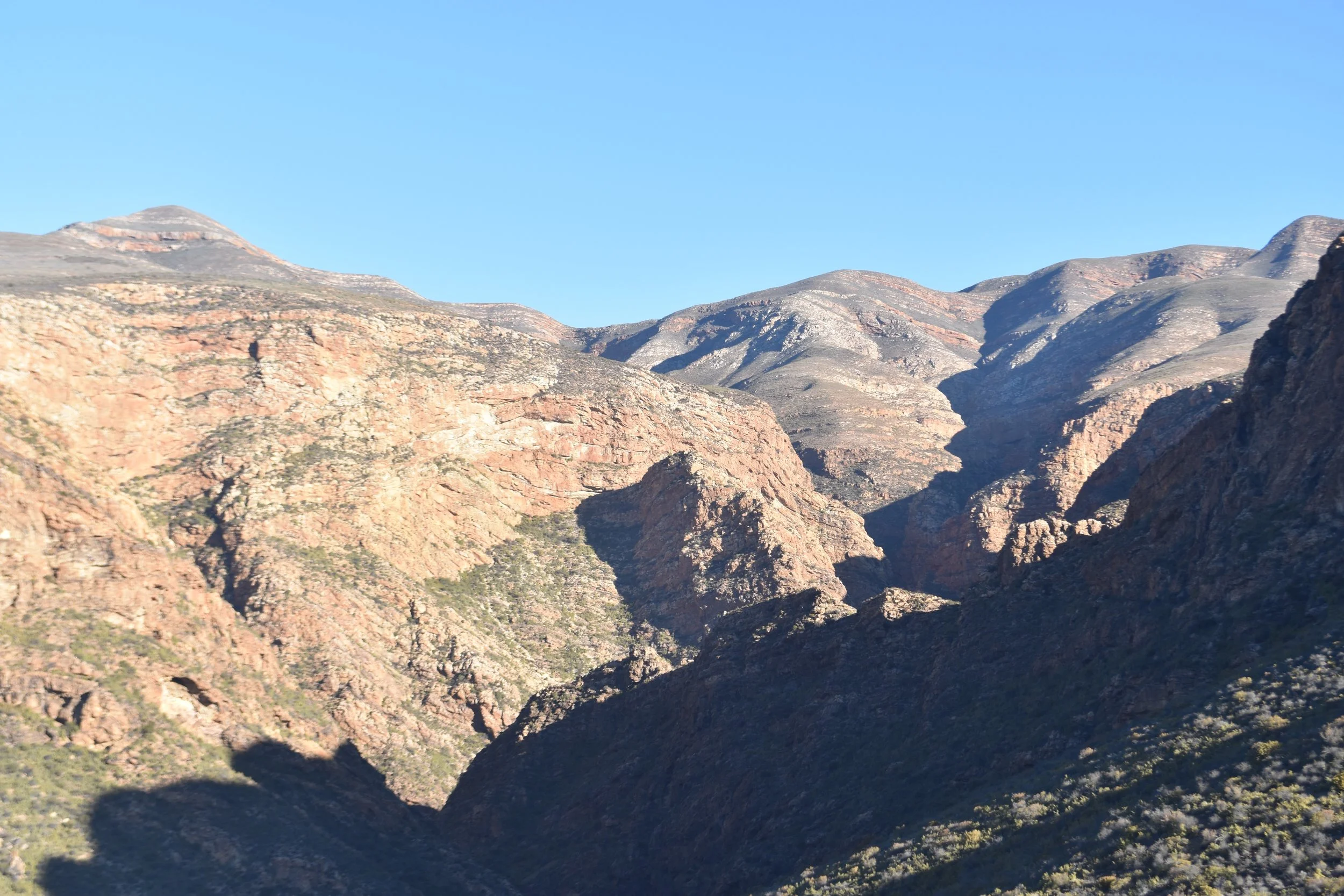 DSC_0068.jpg