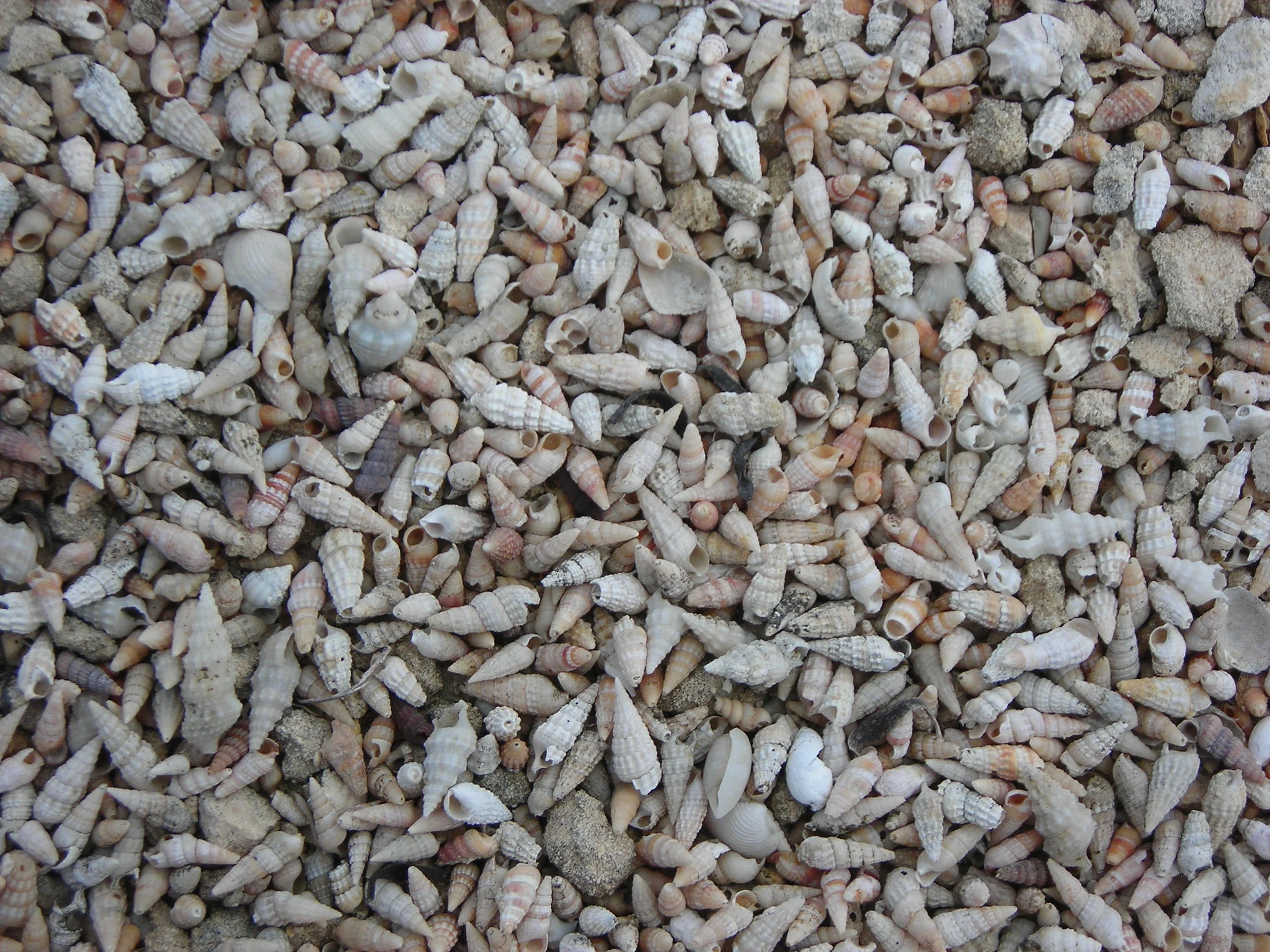 134 Pigeon Creek Quarry.JPG