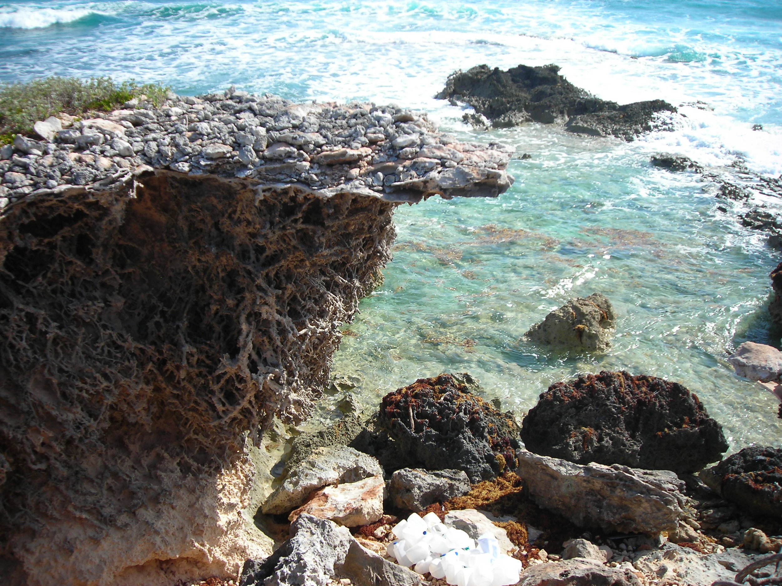 DSCN5832.JPG