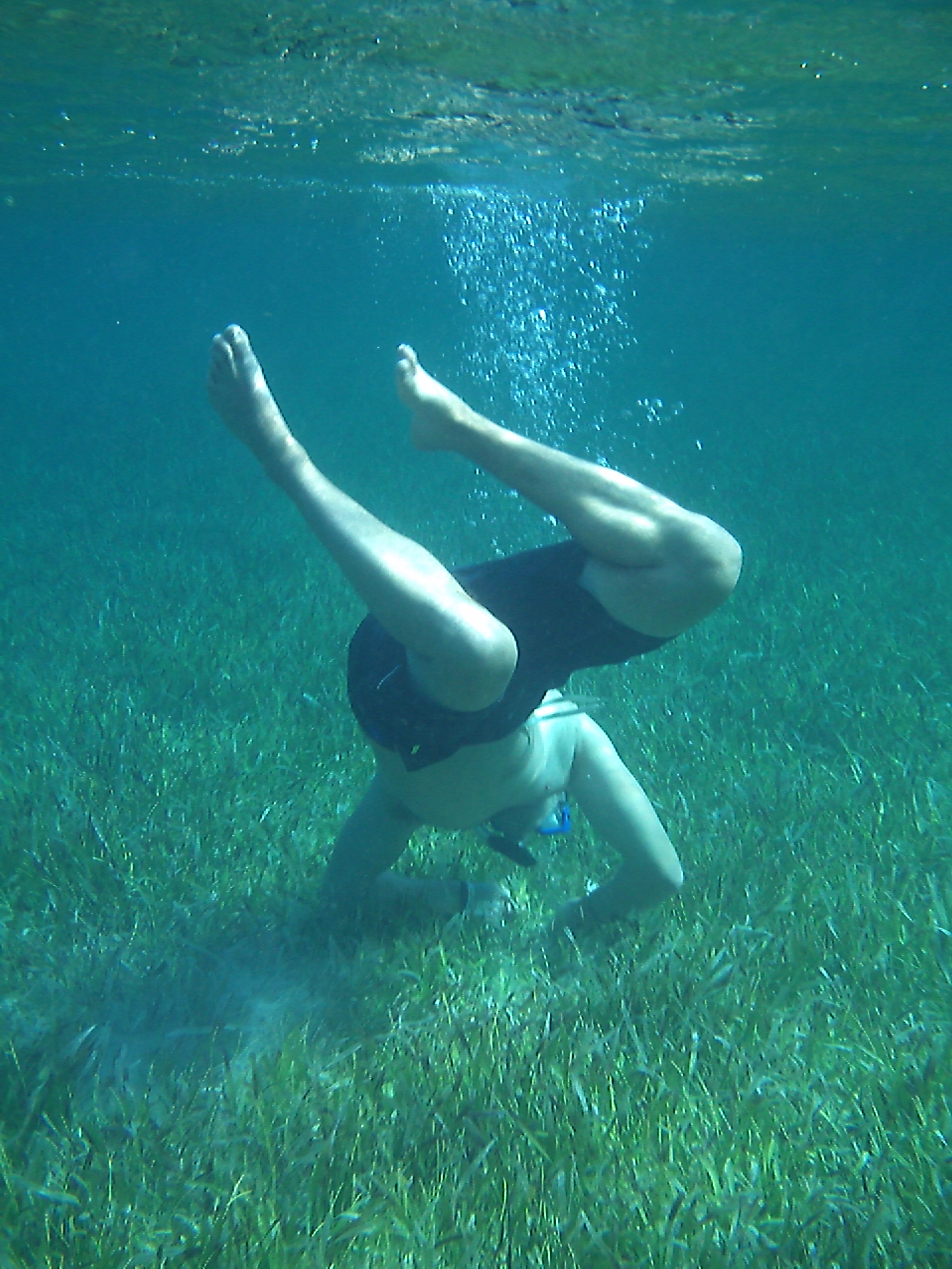 live sampling (1).JPG