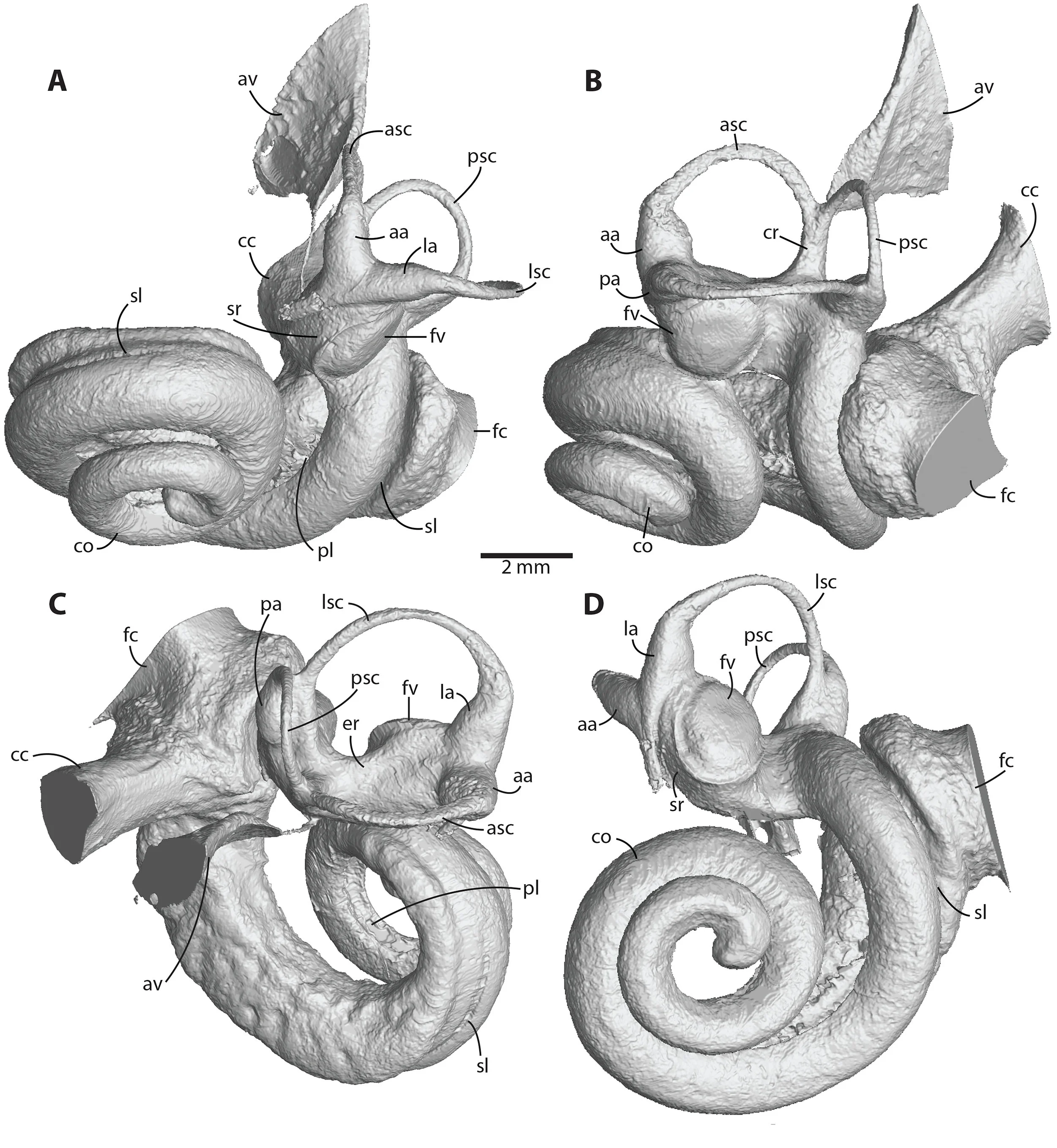 Fig1_final.jpg