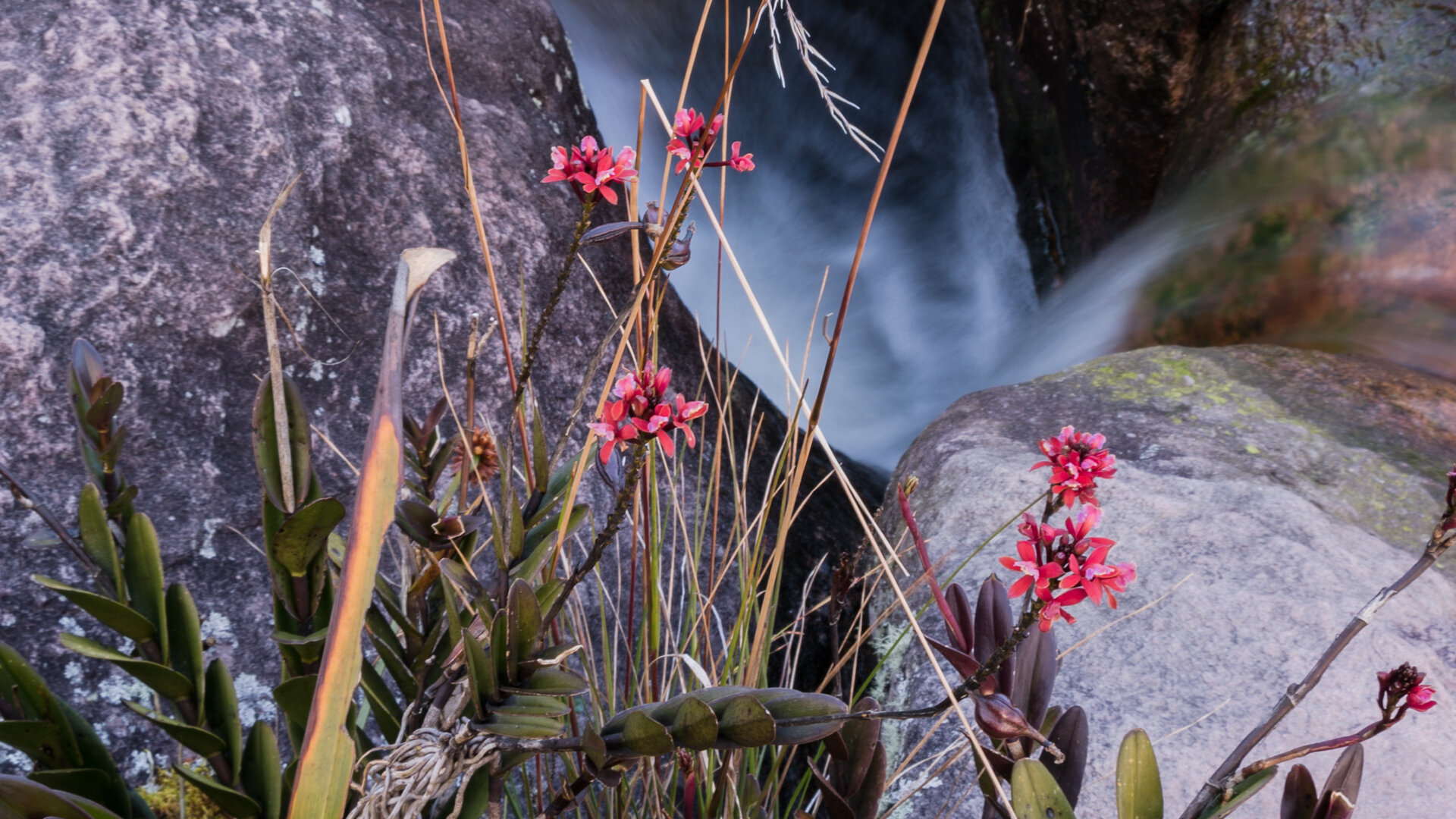 roraima-09495.jpg