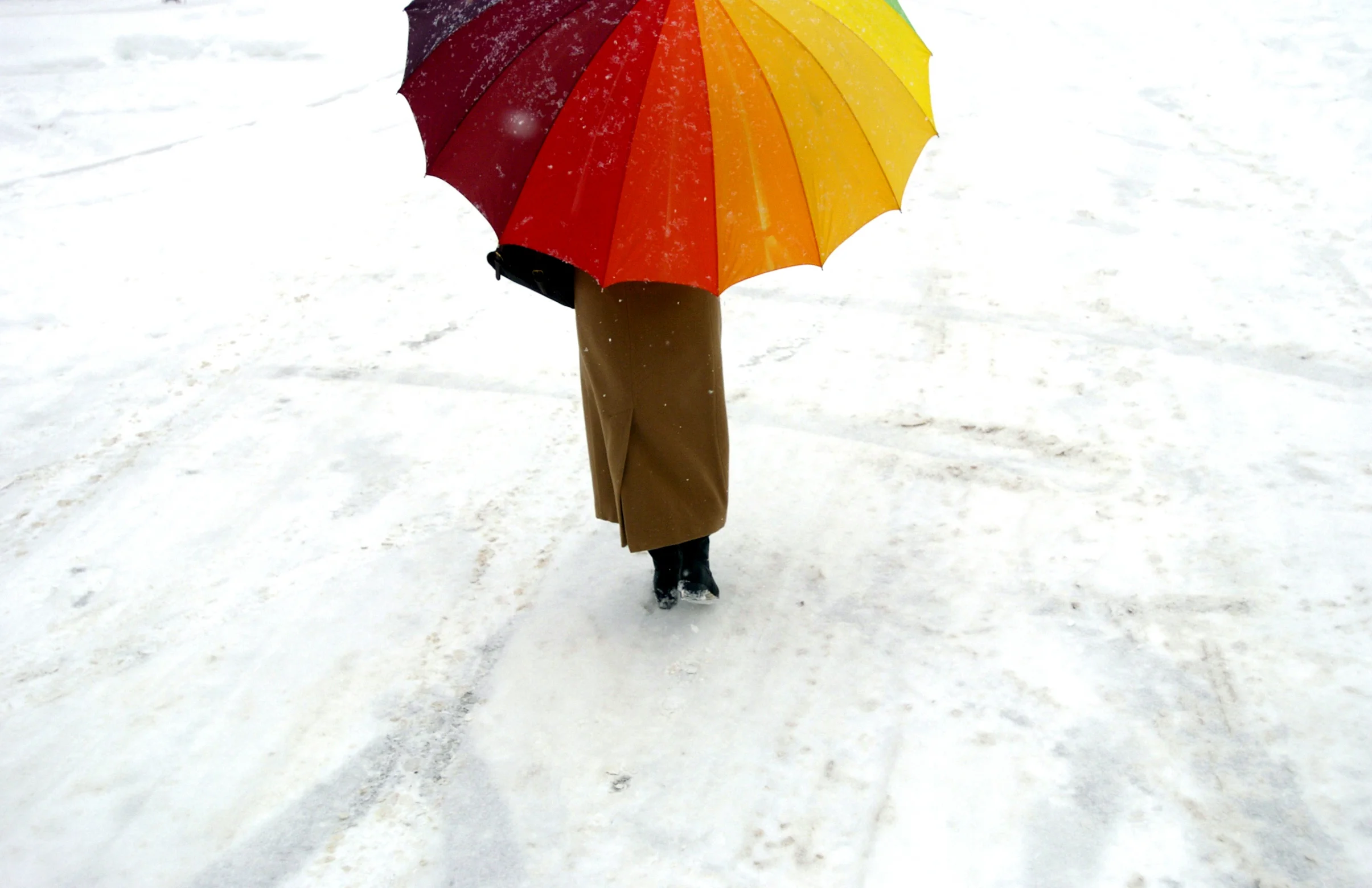 Umbrella1.jpg