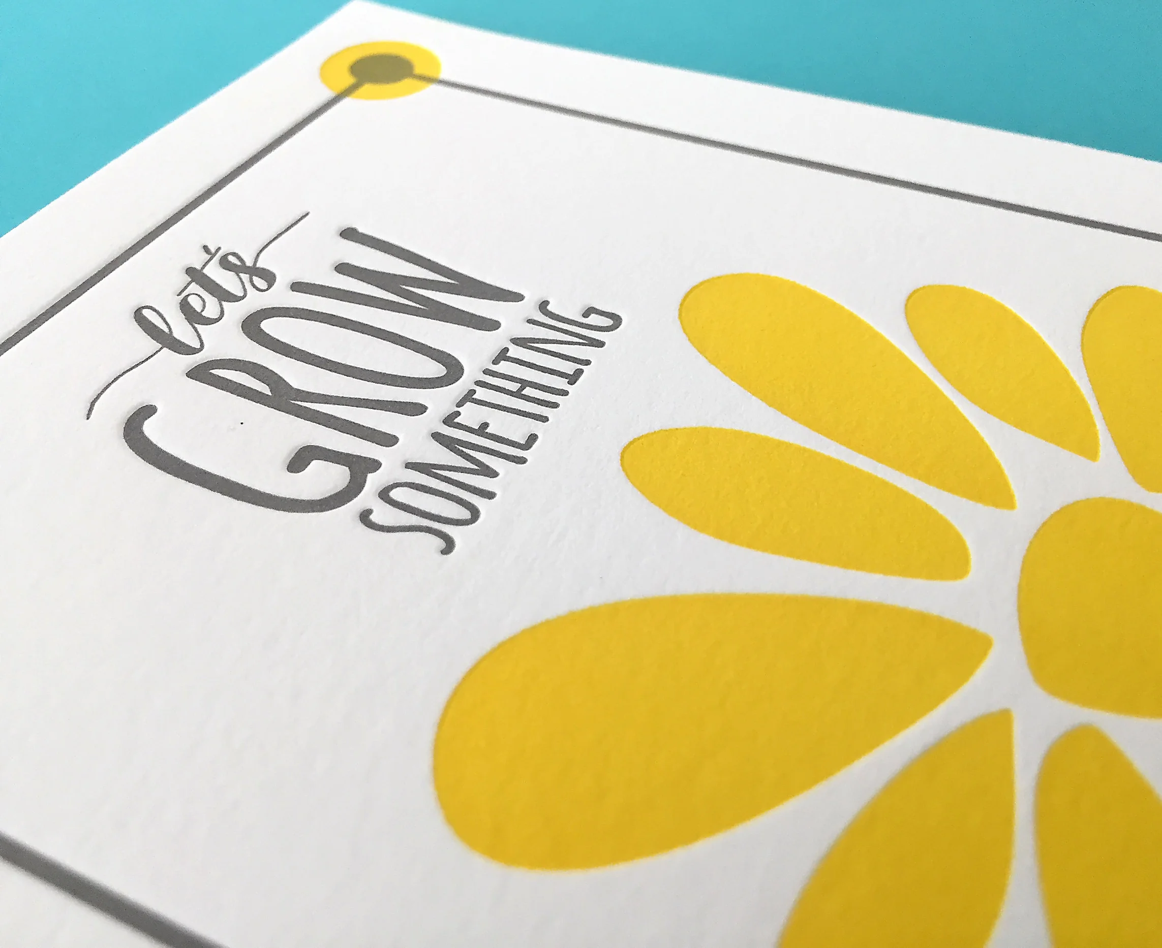 Sunflower6_crop.jpg