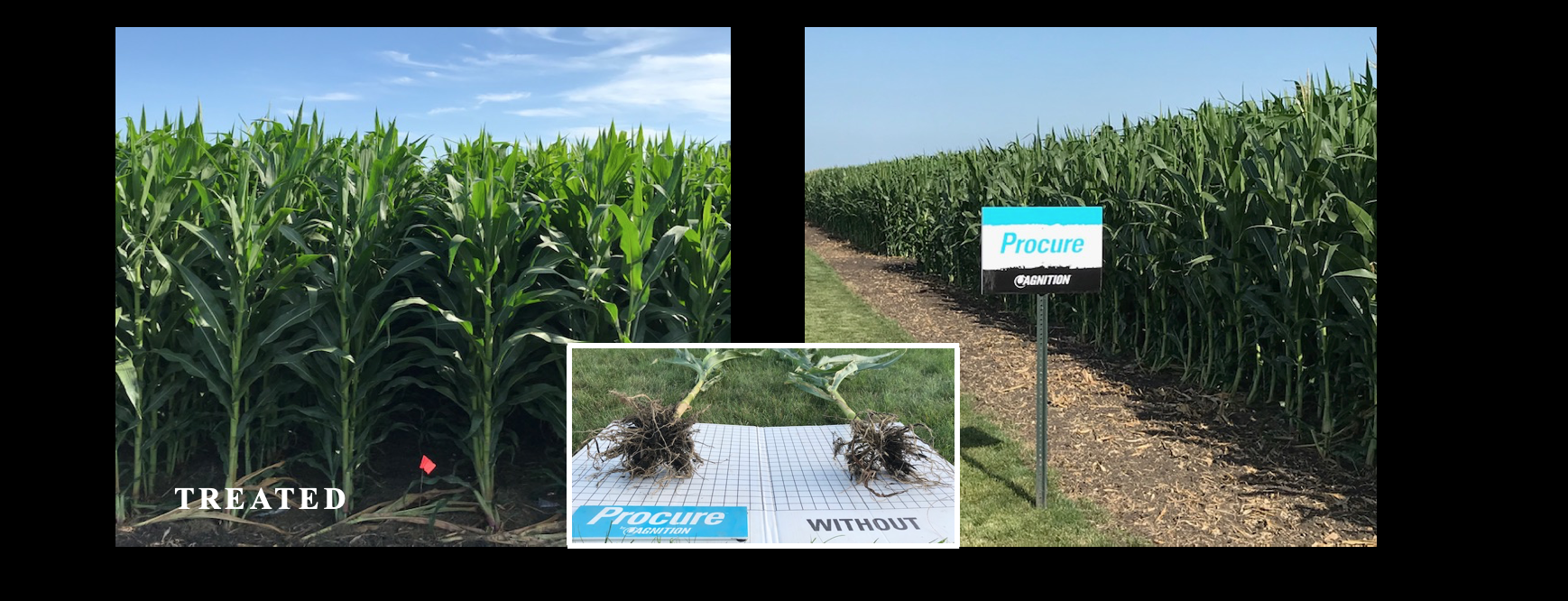 Screen Shot 2020-01-05 at 7.37.42 AM.png