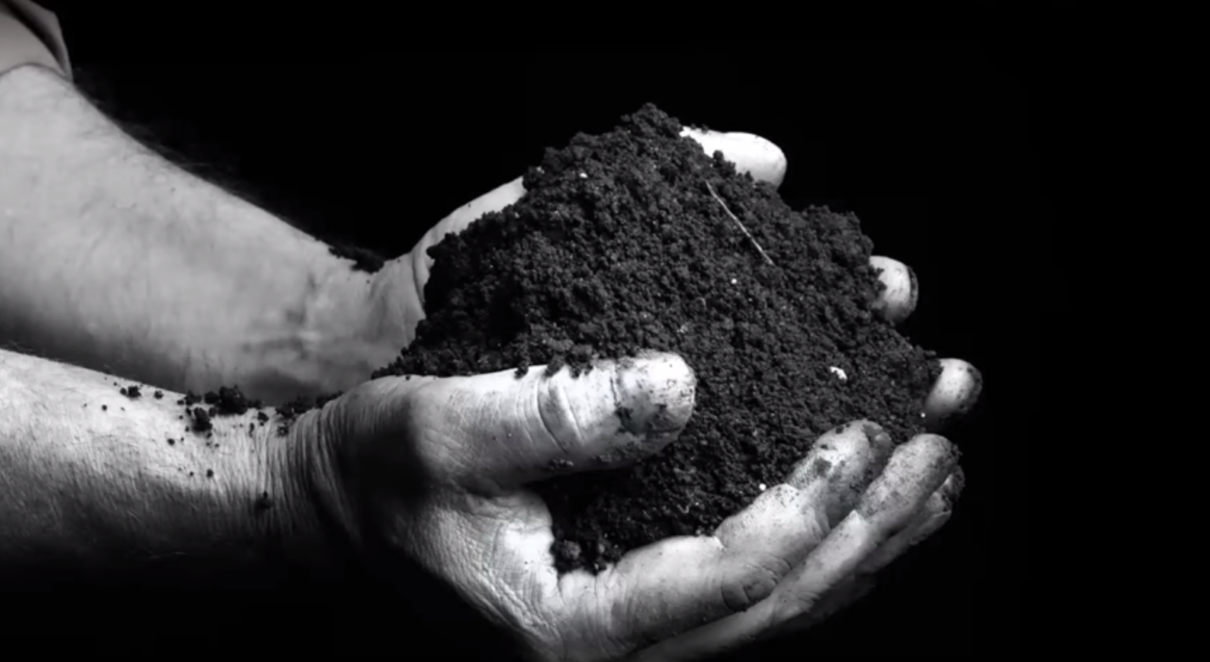 Screen Shot 2020-02-06 at 9.42.14 AM.png