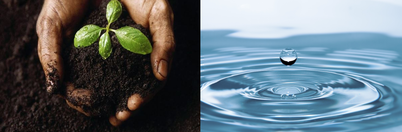 Screen Shot 2020-11-23 at 8.57.17 AM.png