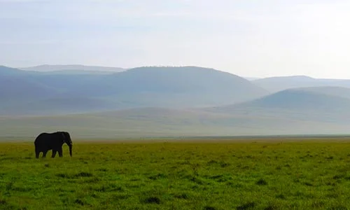 Sababu_Safaris_Ngorongoro2_500x300px.jpg