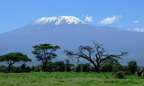 Sababu_Safaris_Kilimanjaro_500x300px.jpg