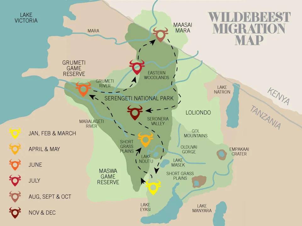 wildebeest-migration-map.jpg