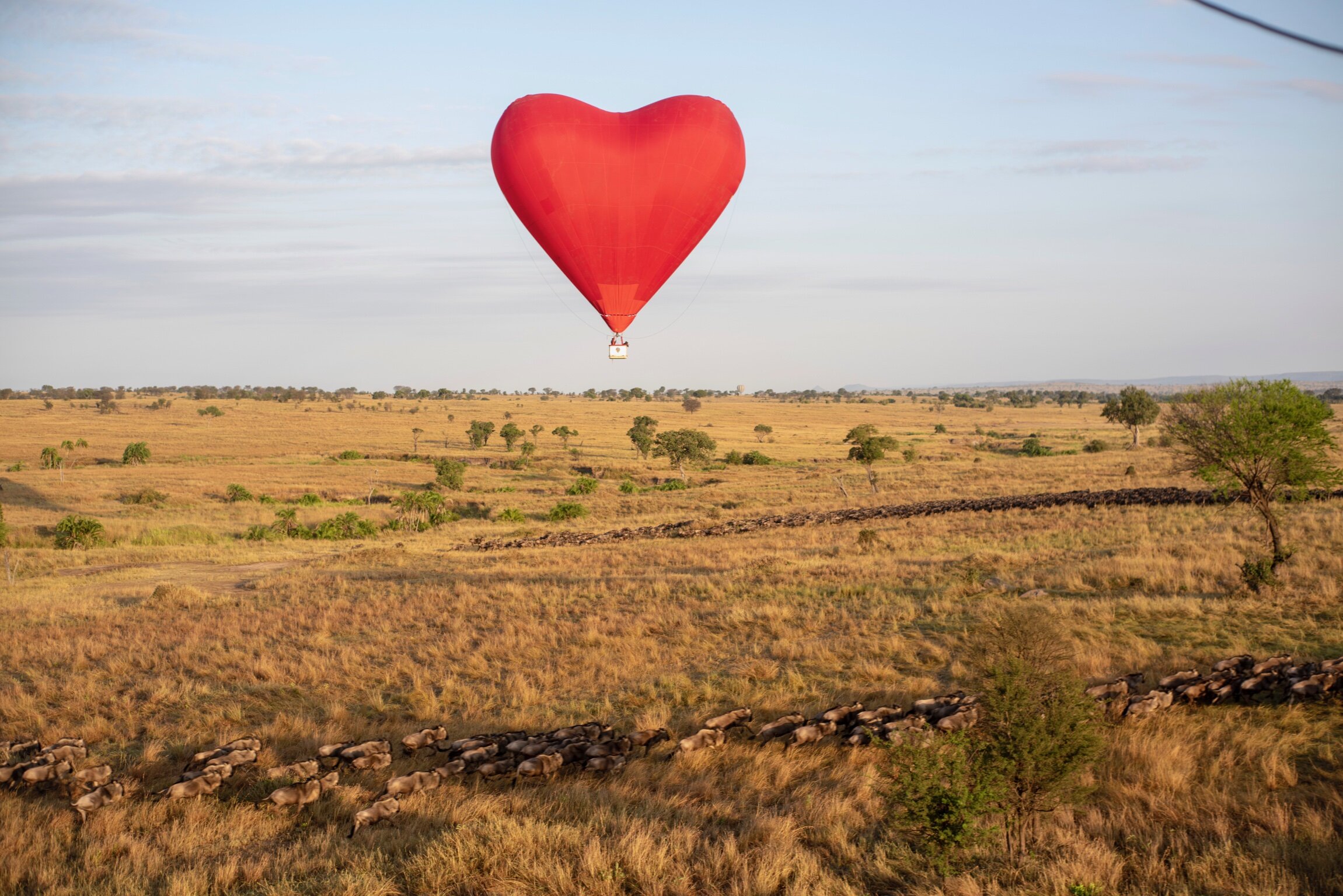 Tanzania Hot Air Baloon