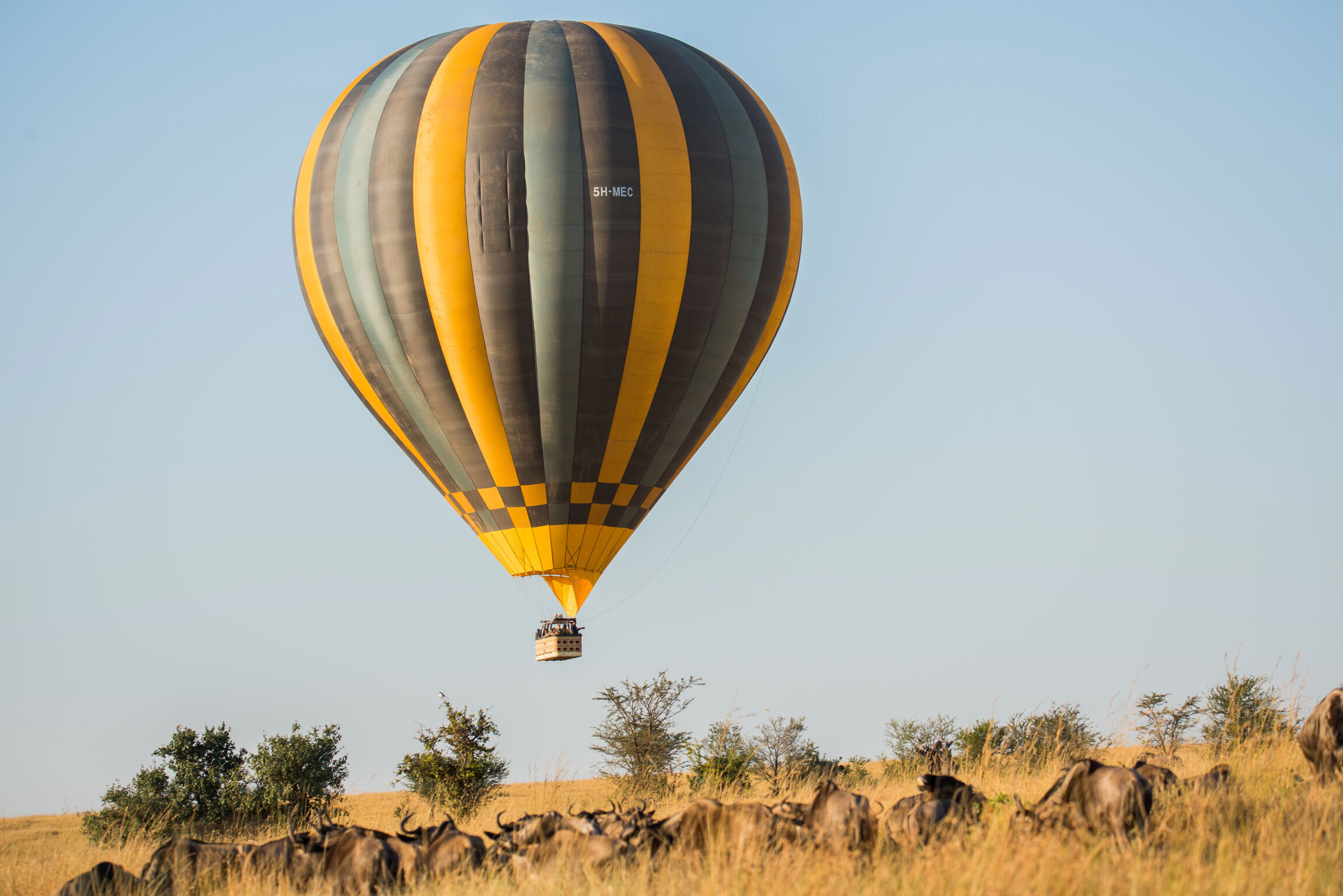 Hot Air Baloon in Serengeti