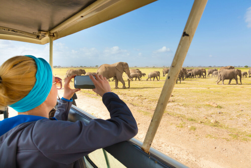 Girl watching elephants on private safari