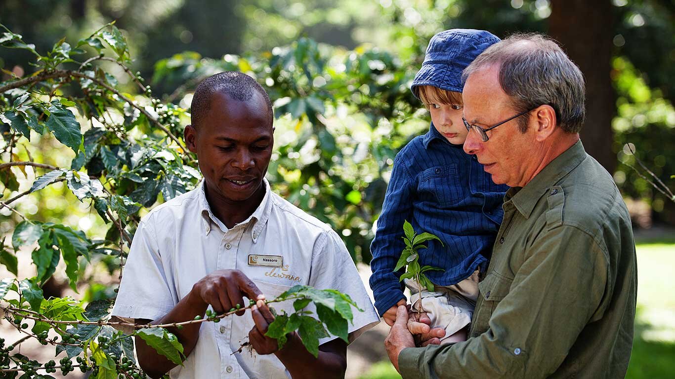 Coffee Tour