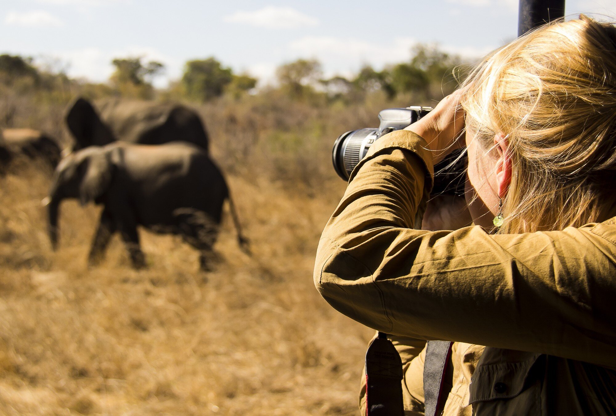 Girl photographing elephants on safari