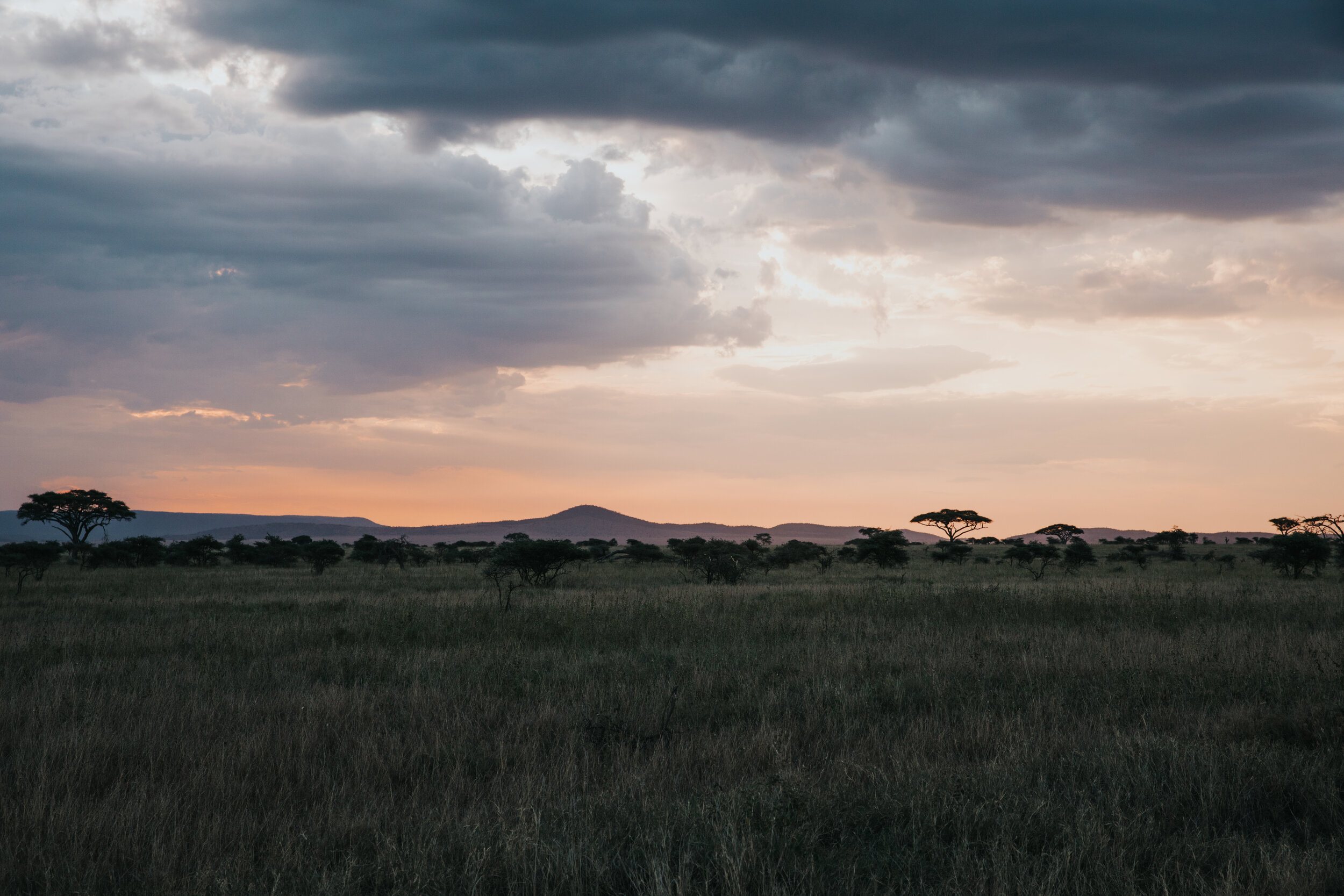 Sunrise in Serengeti National Park