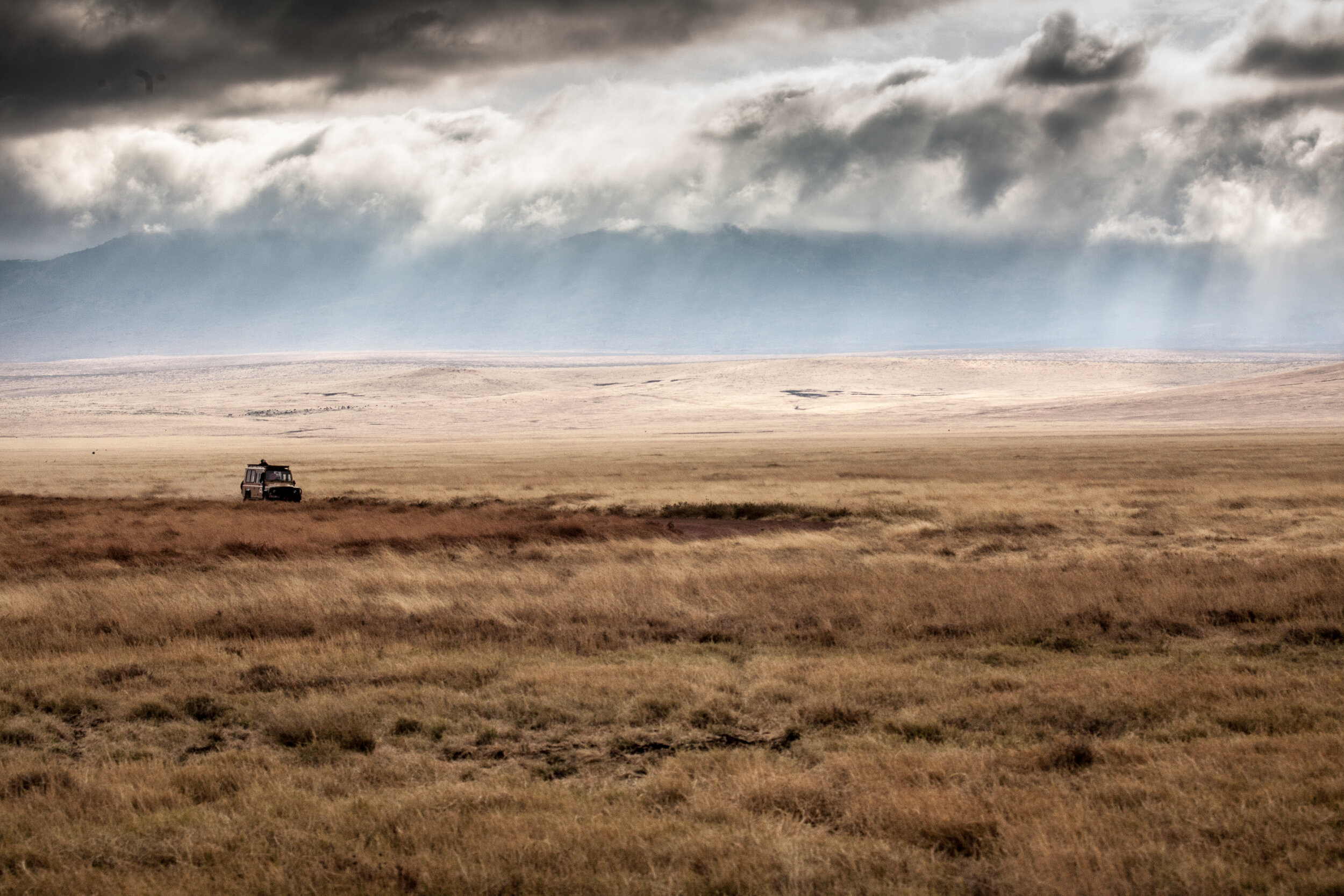 Endless Plains of the Serengeti