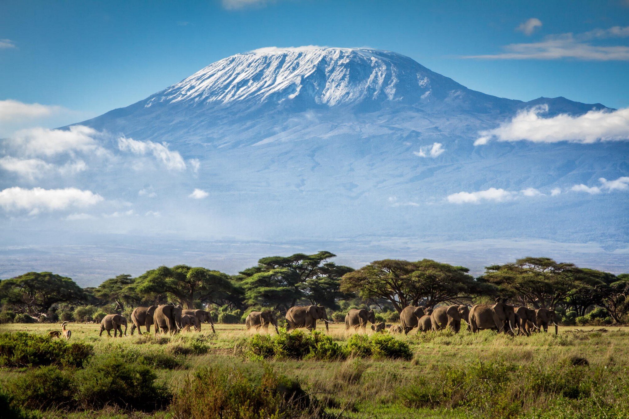 Kilimanjaro in Tanzania
