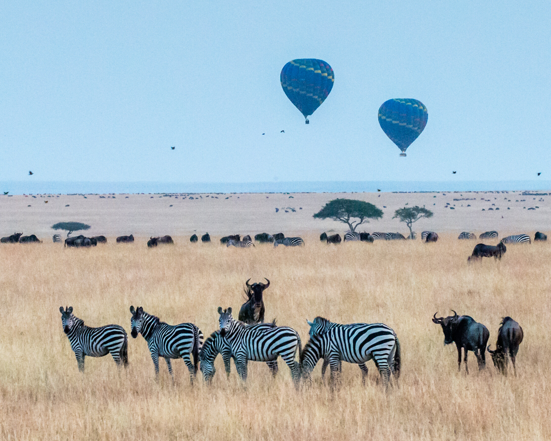Hot Air Ballooning in the Serengeti
