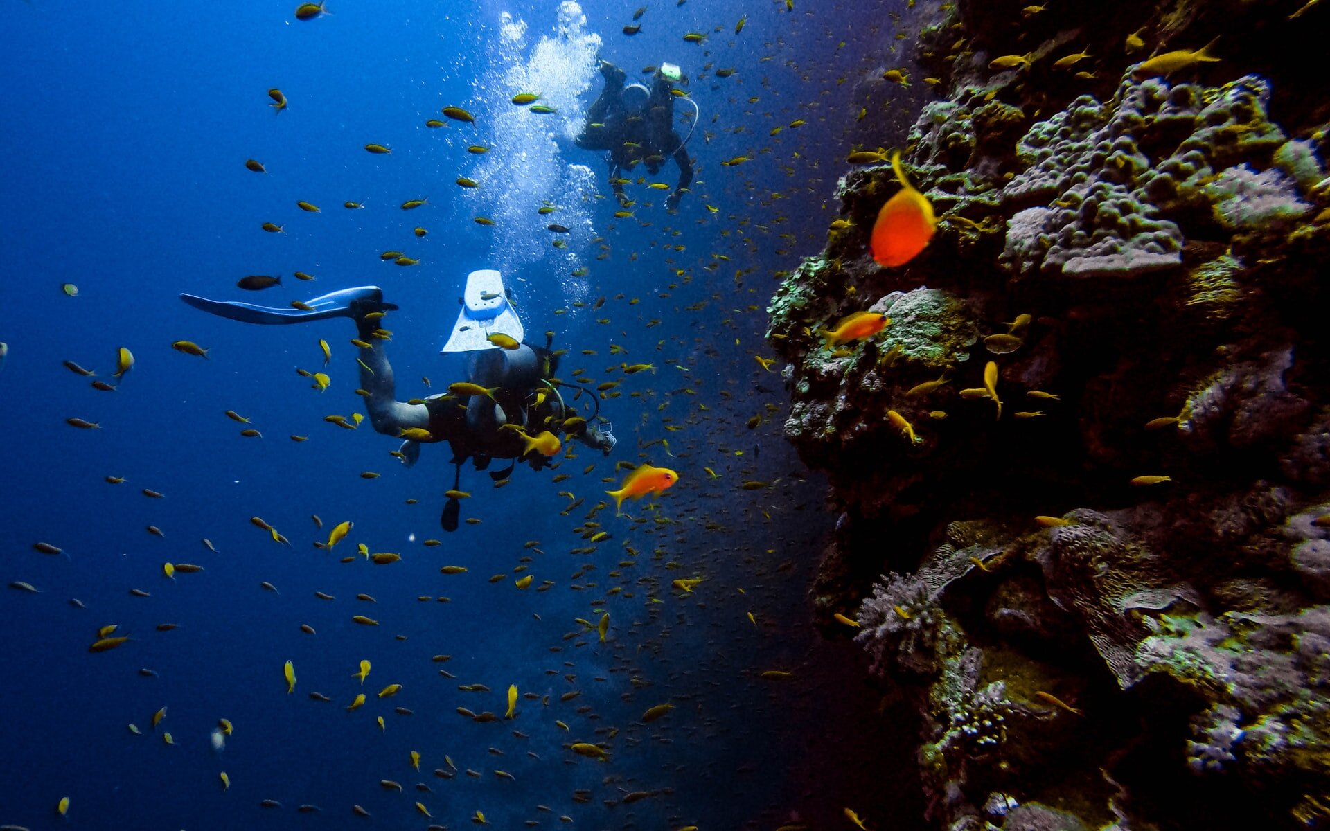 Scuba Diving Zanzibar