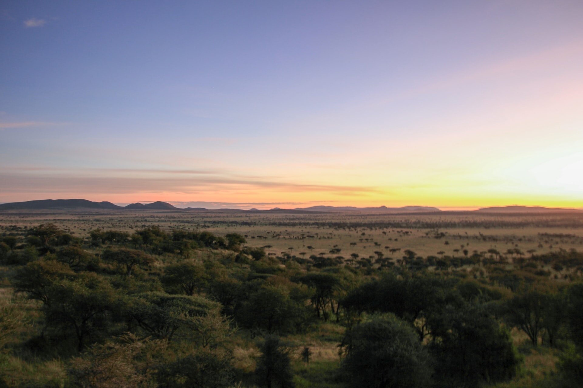Serengeti Plains Sunset (Copy)