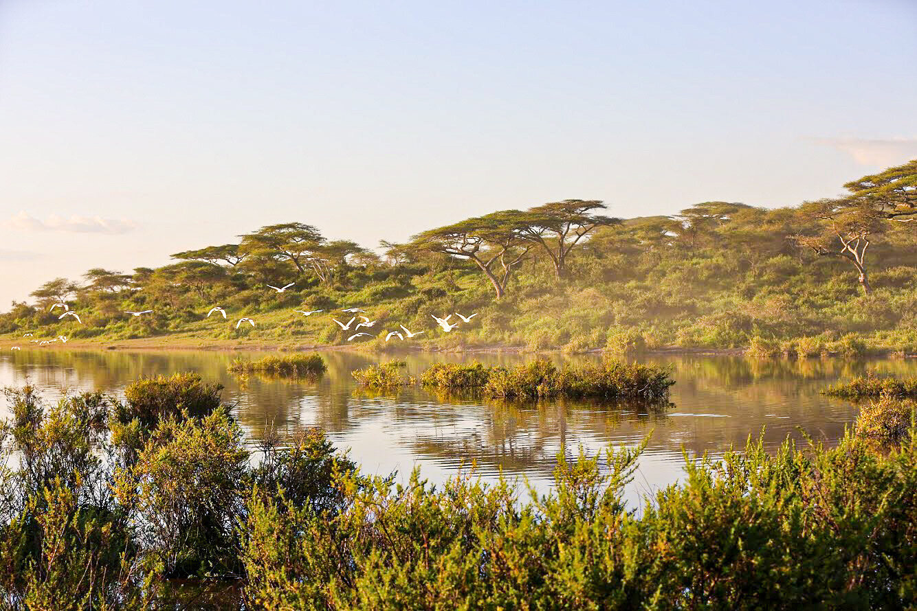 Ngorongoro Conservation Area