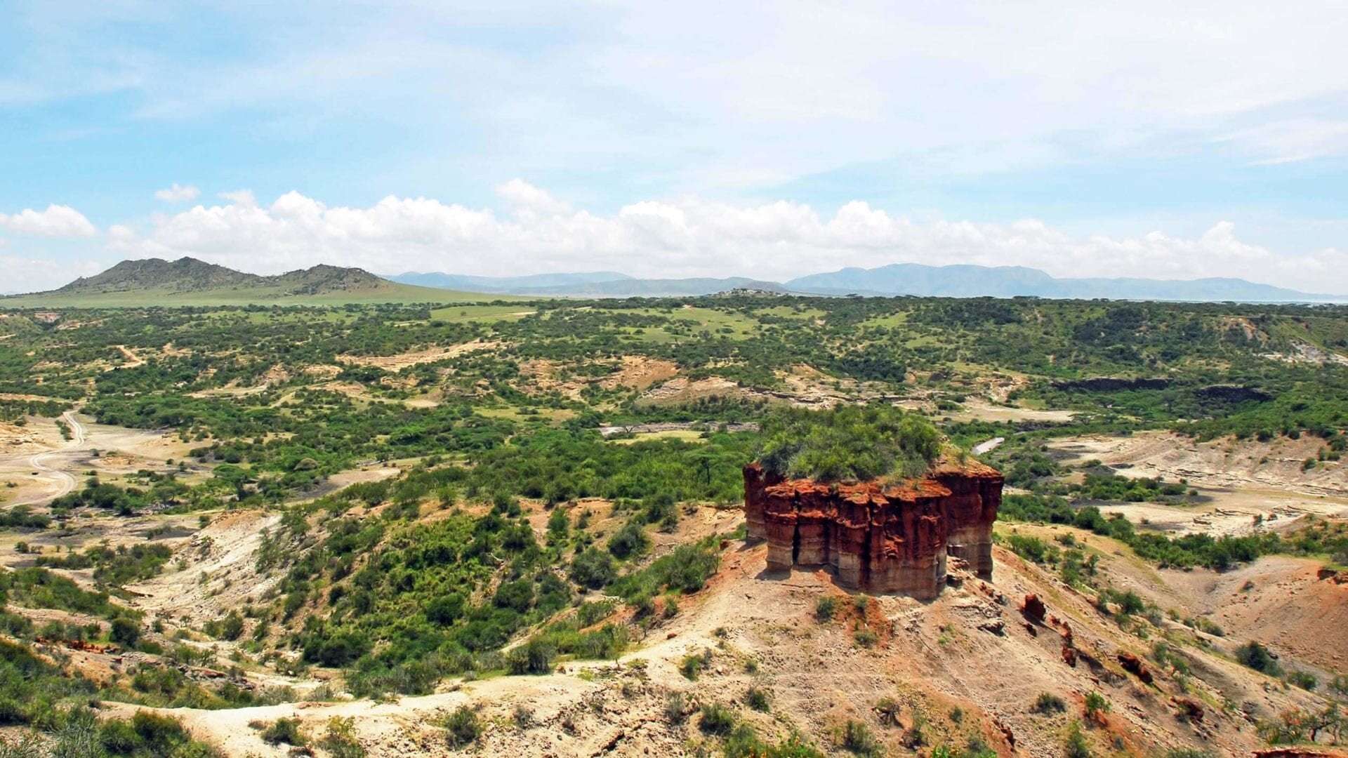 Olduvai Gorge (Copy)