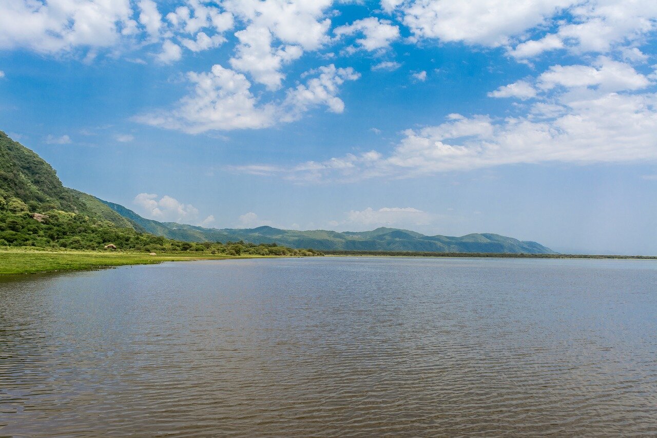 Lake Manyara Shoreline