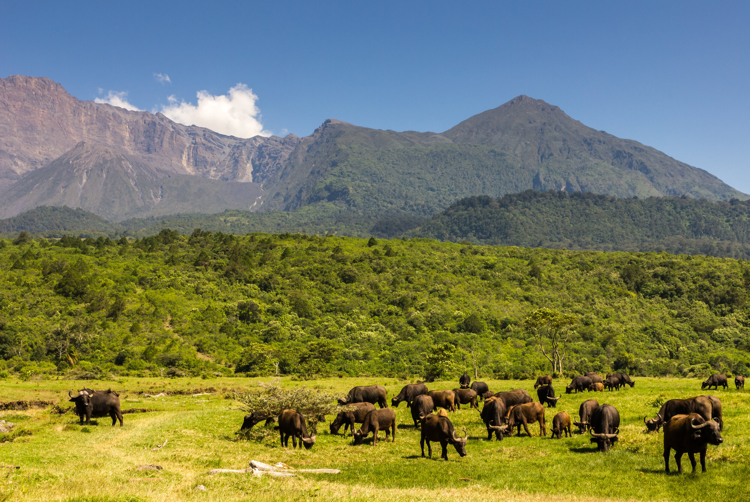 Arusha National Park (Copy)