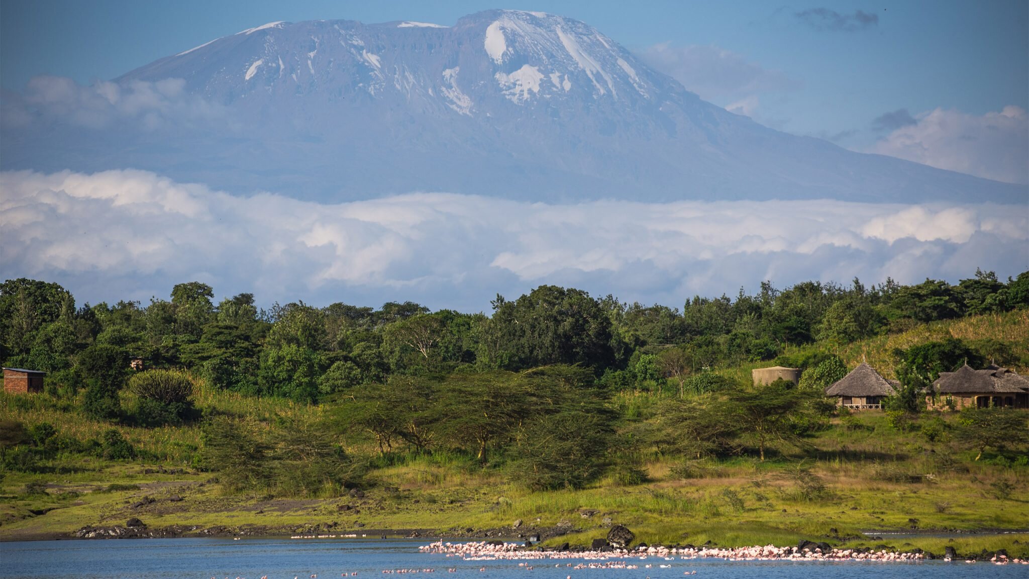 Arusha Nationalpark Sababu Safaris