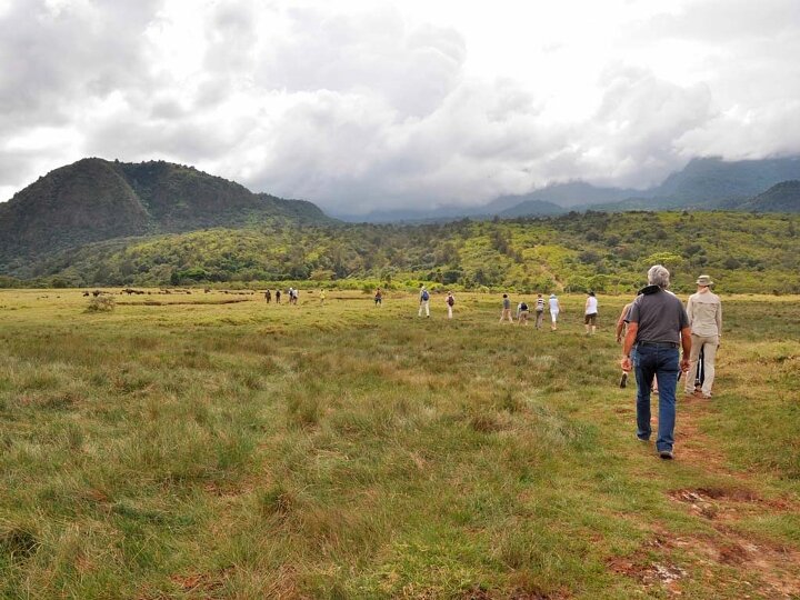 Walking Safari Arusha National Park