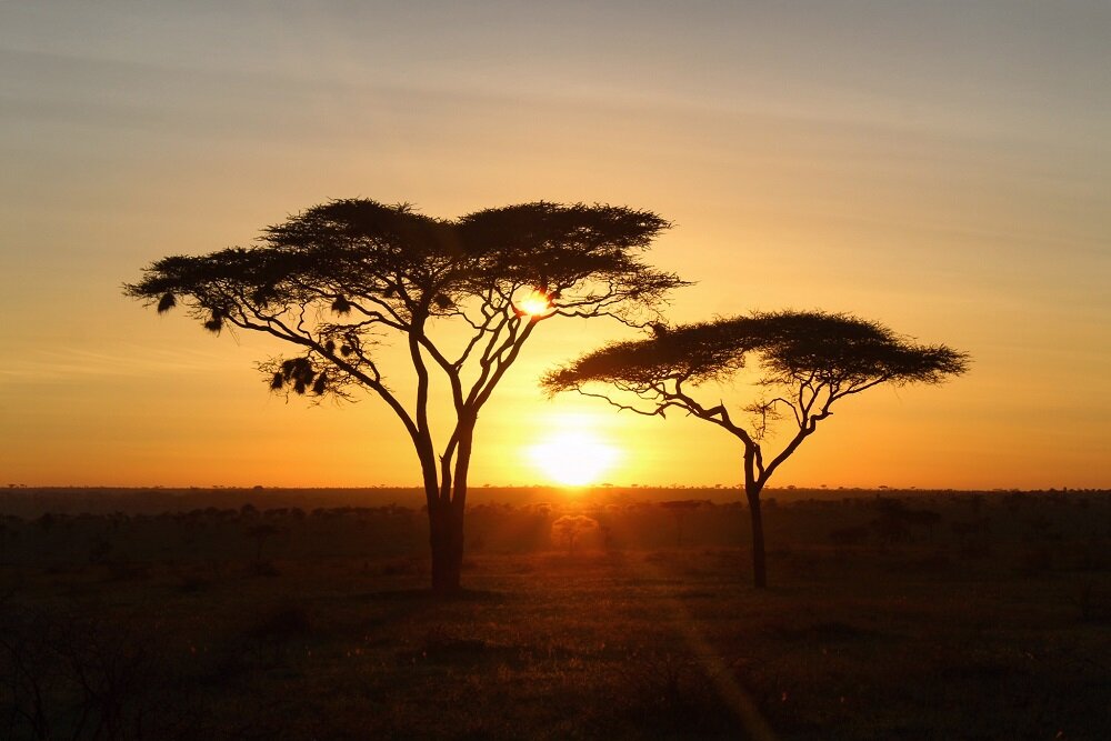 Serengeti Sunrise.JPG