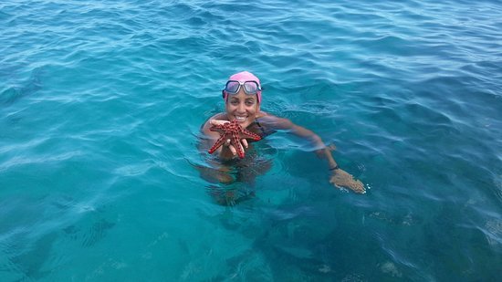 Snorkeling and Scuba Diving on Zanzibar Island