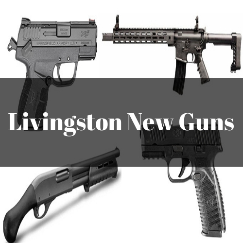 Livingston New Guns