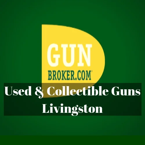 Online gun store Shop online — The Gun Shop