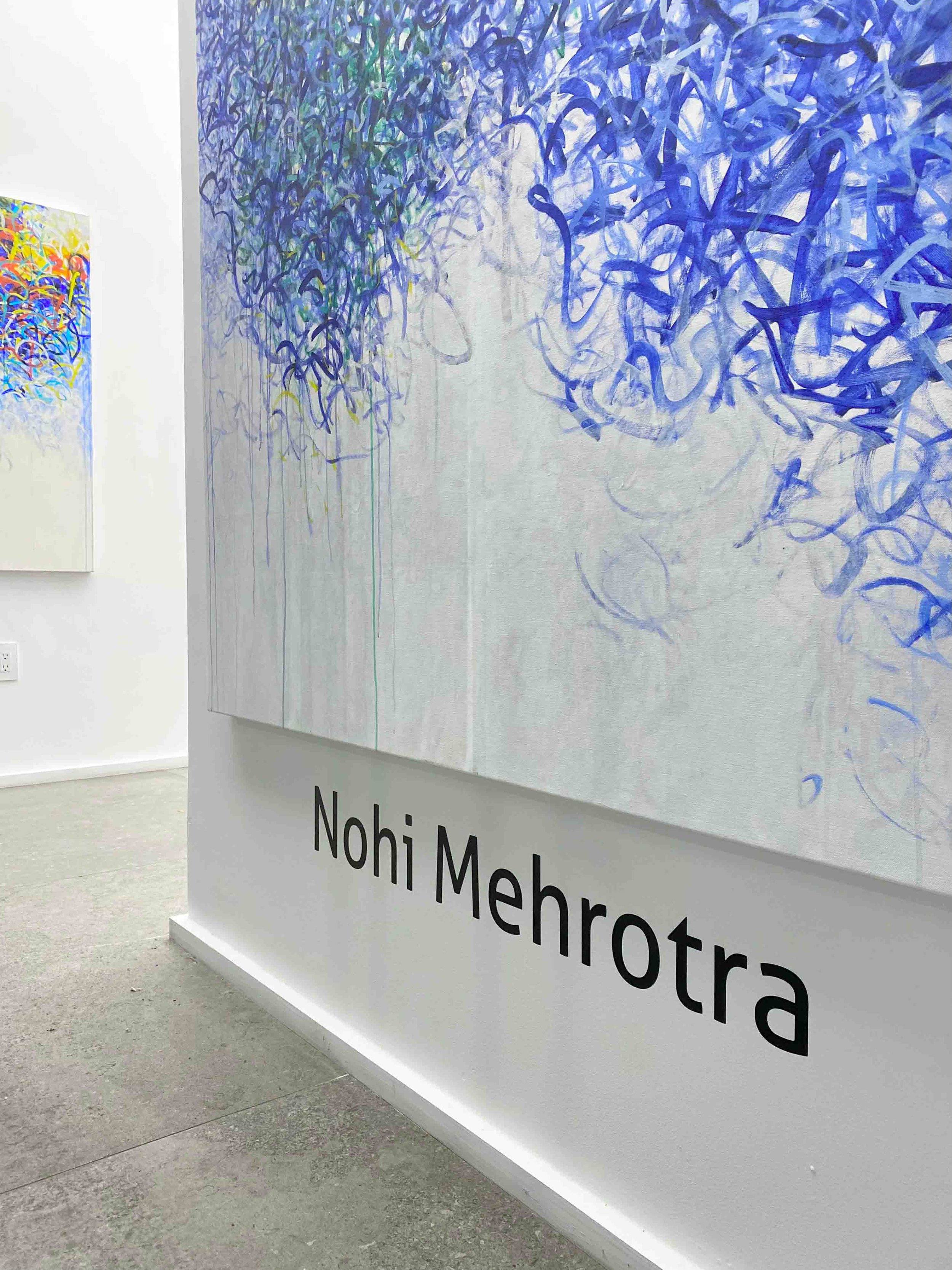 Nohi Mehrotra / Studio: Hoboken NJ 