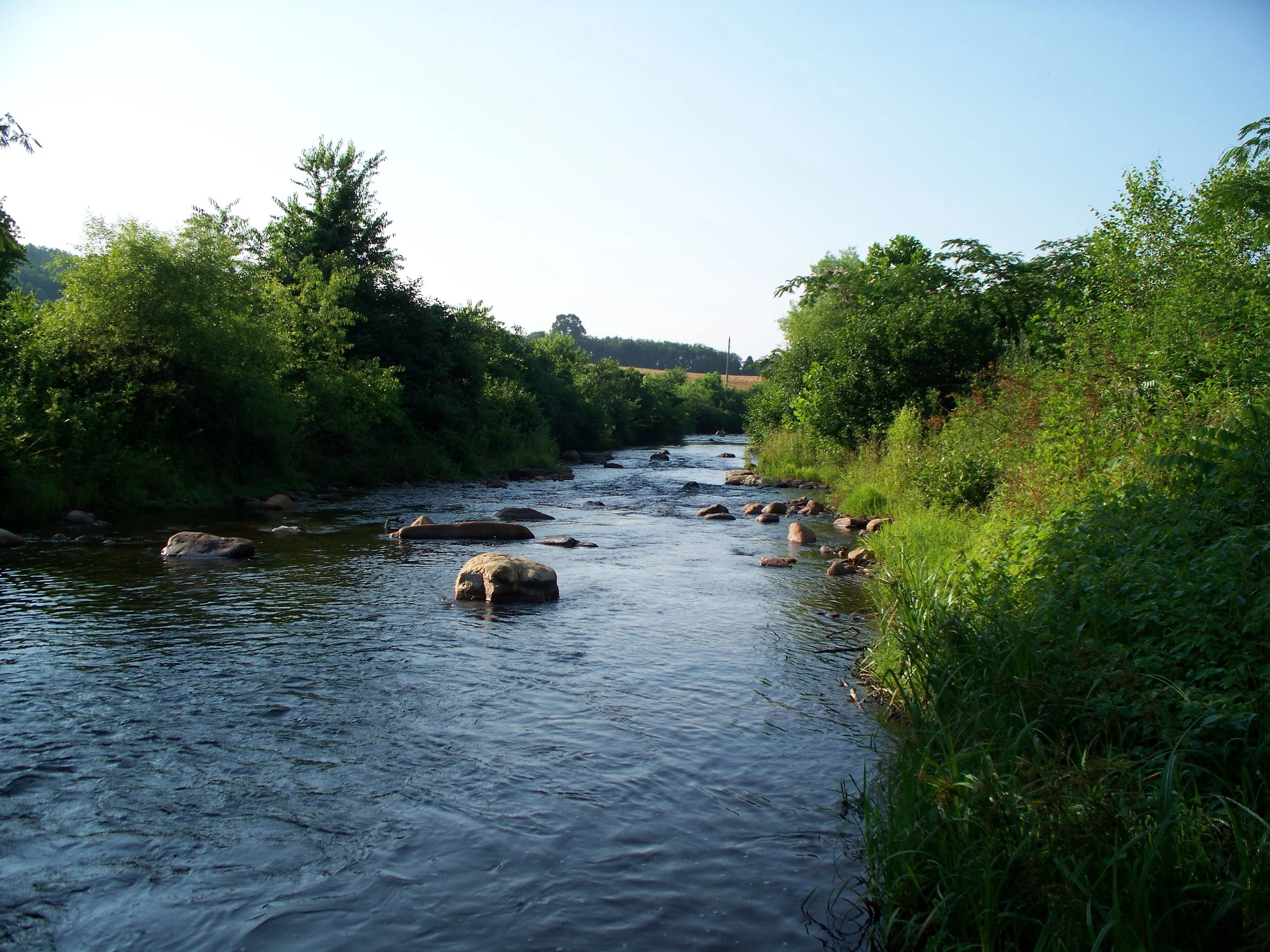 Upper Silas Creek 5 & 17 042.jpg