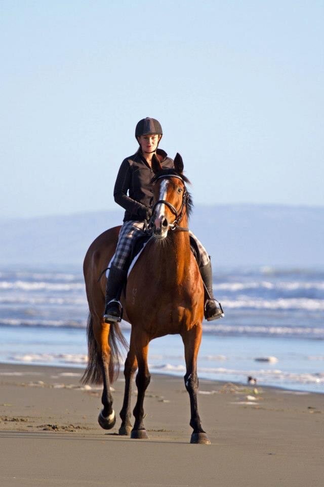 Marieke’s ability to come out fully self-contained, and to be able to sedate a horse on site is a real plus: it is a breeze instead of stressful. Being a horse vet she checks your entire horse for any issues while she visits. “I have nothing but go