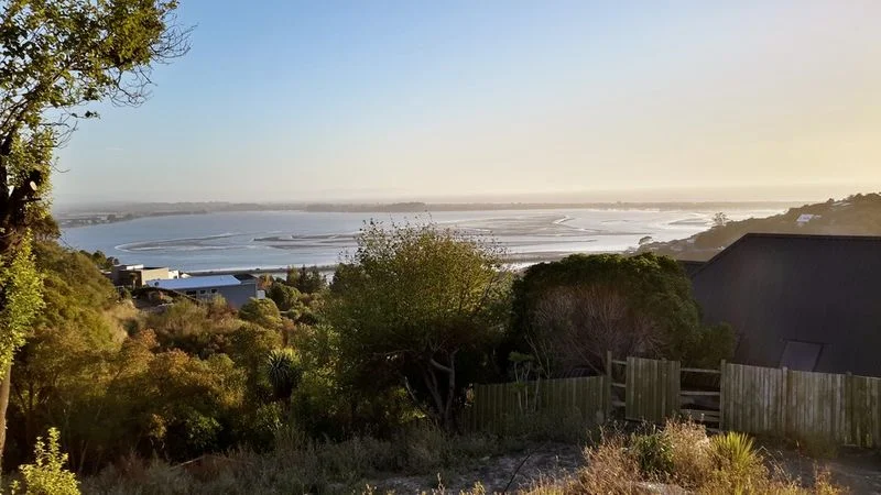 121 SANTA MARIA AVENUE - MT PLEASANT