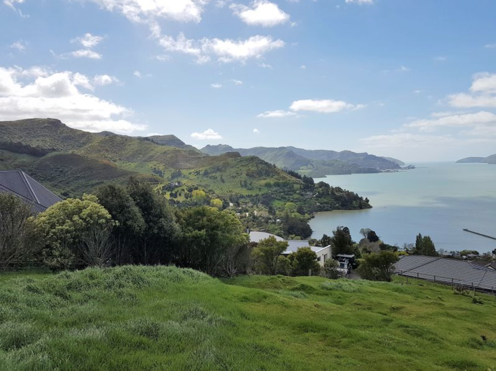 Screen Shot 2018-05-28 at 5.33.51 PM.png