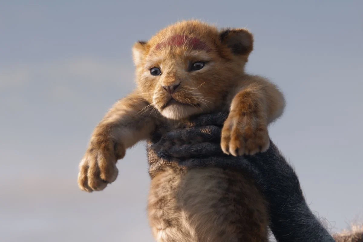 Episode 61 - The Lion King!