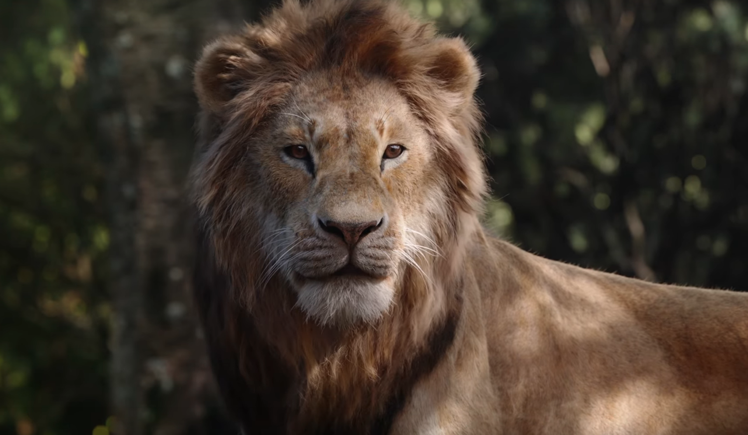 Episode 62 - Once Upon a Time in...Hollywood; more Lion King!