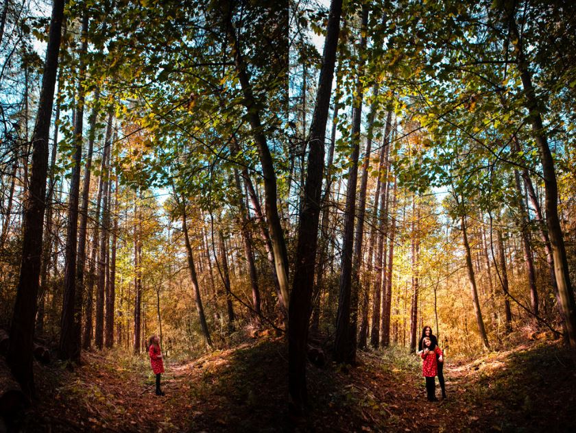 Walker McCabe Family Special