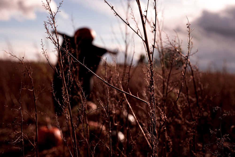 Little_Oaks Autumn Festival Buckingham Halloween Pumpkin_Picking Farm Skelaton Hay_Bale-33.jpg