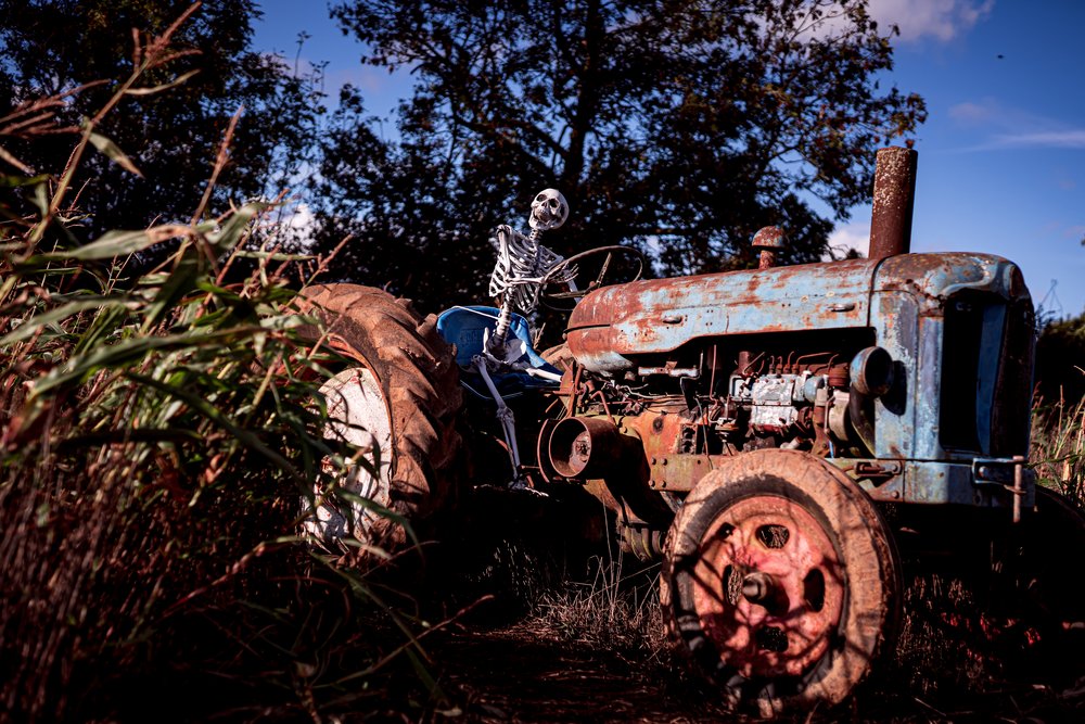 Little_Oaks Autumn Festival Buckingham Halloween Pumpkin_Picking Farm Skelaton Hay_Bale-15.jpg