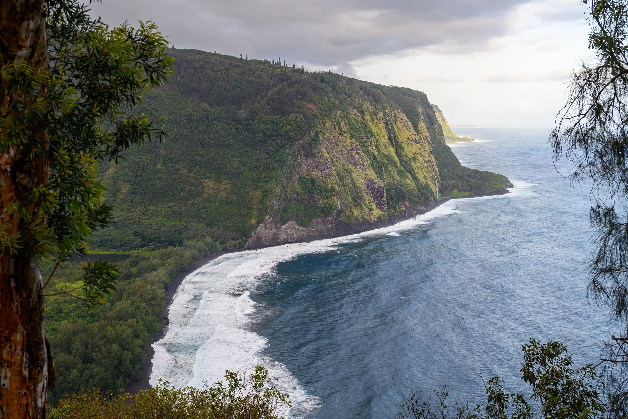 Waipi'o Valley Lookout