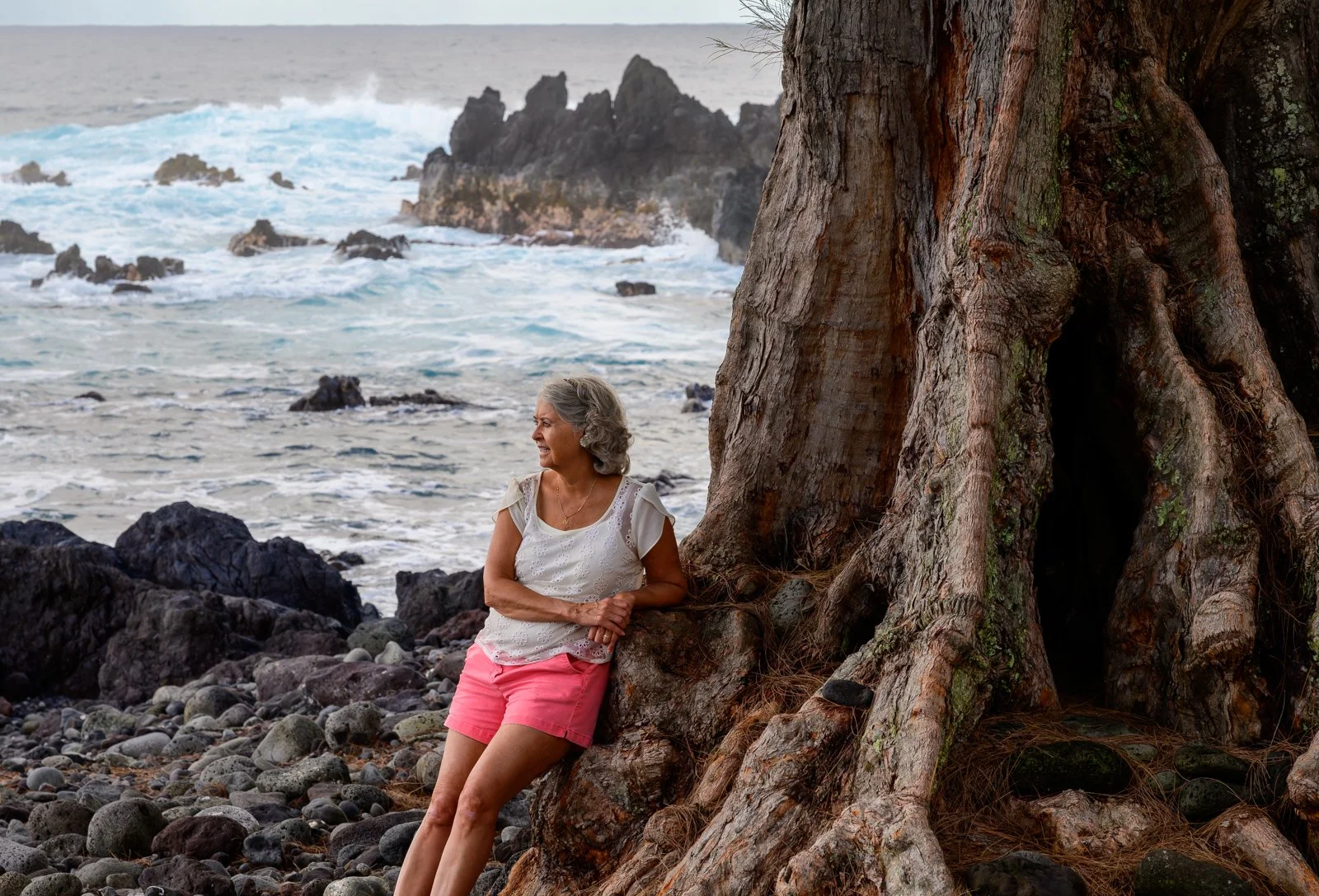 Banyan tree - Laupahoehoe Beach Park