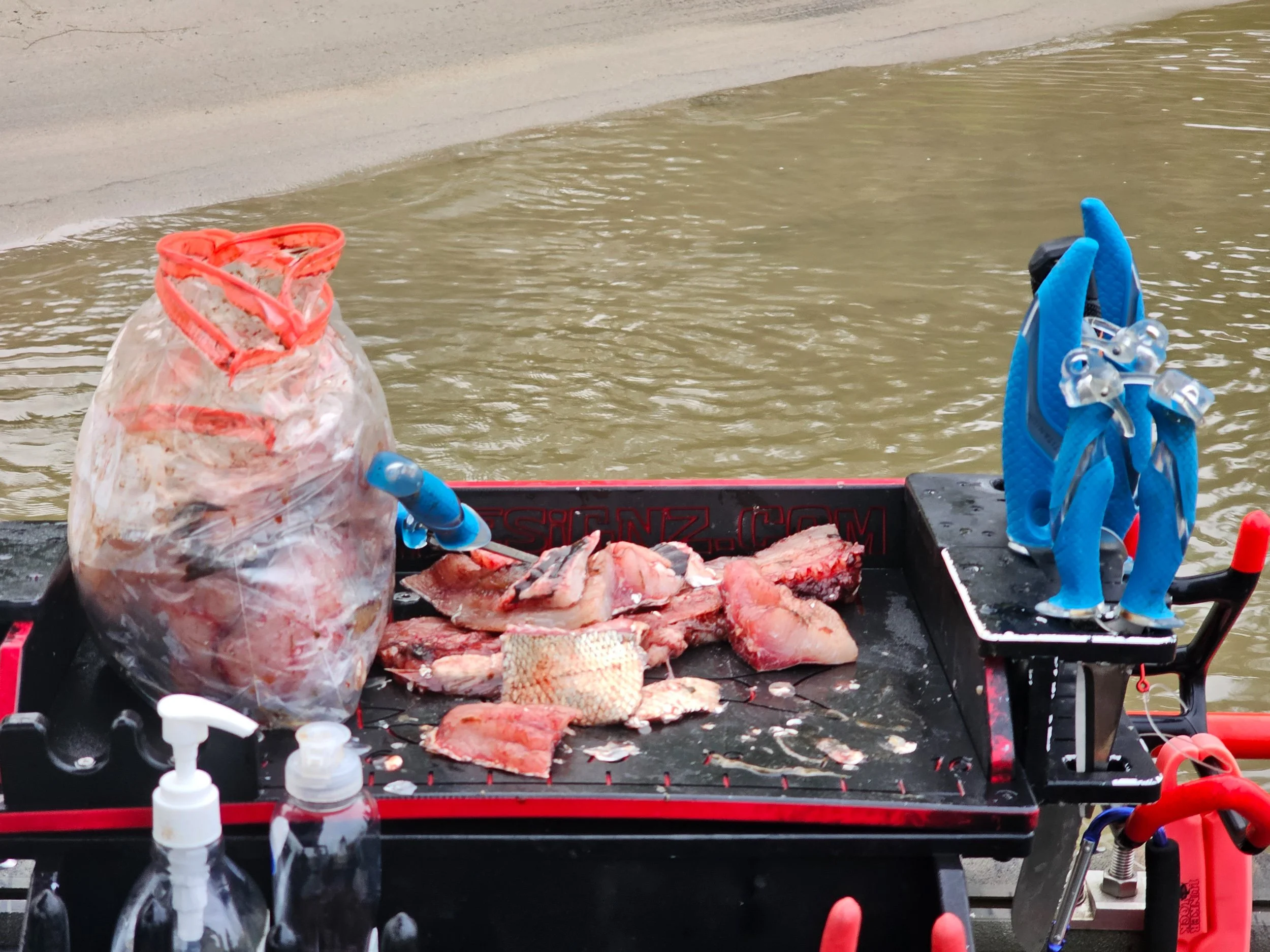 Catfishing 8-5-23-3.jpg