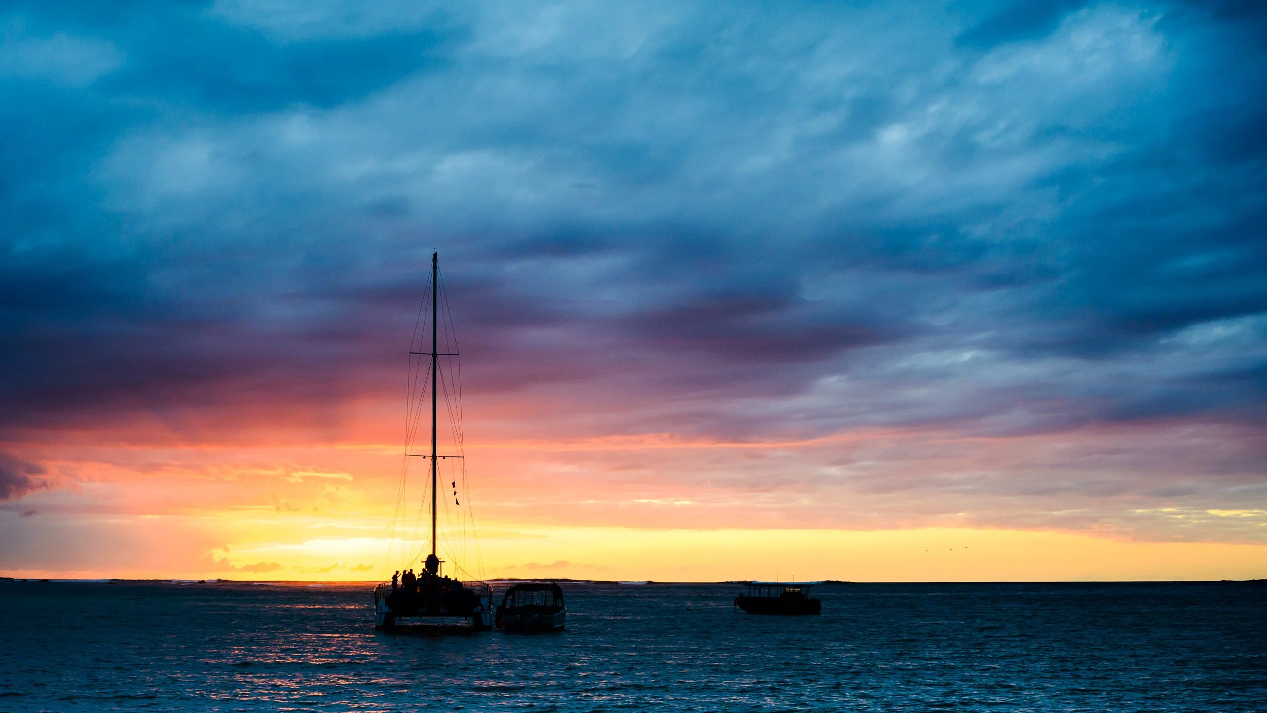 _NZF0331 FE 40mm F2.5 G 40 mm_.jpg